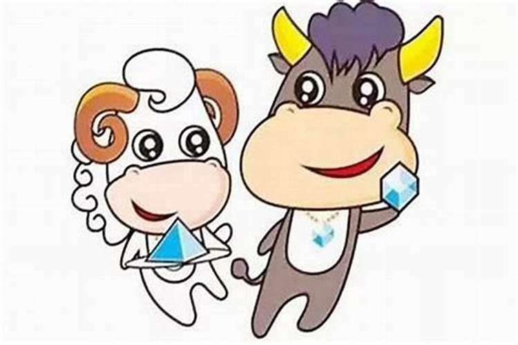 羊和牛八字合吗？