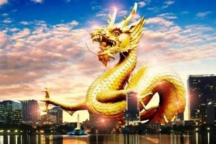 1976年龙的2026年运程