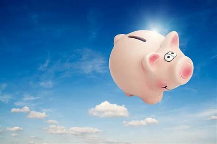 1971生属猪的运程如何？