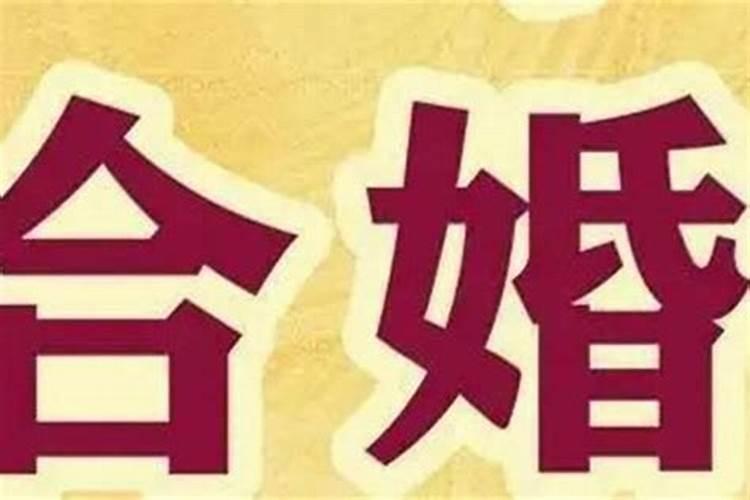 反婚和合婚是什么意思？