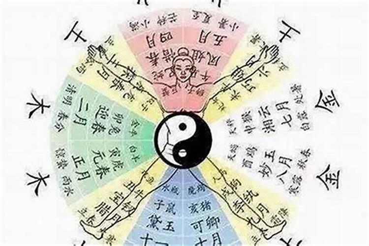 八字看你适合学道