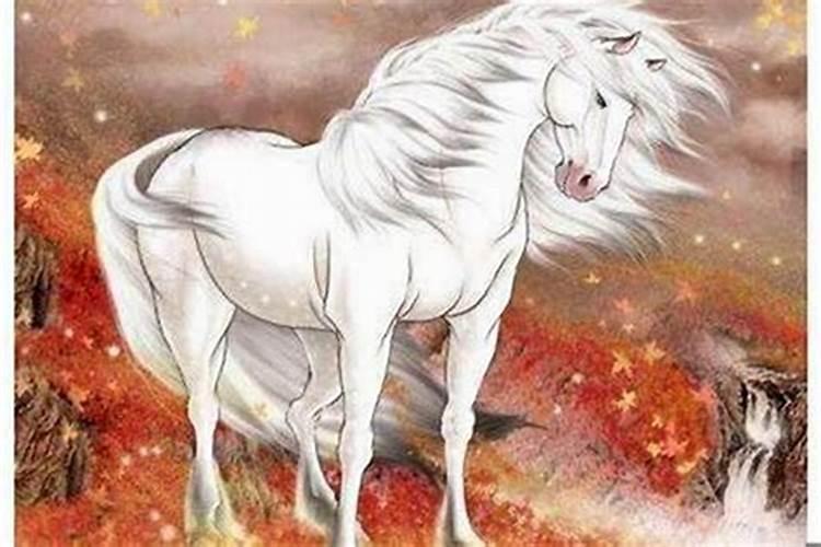 属猴和属马的合婚吗？