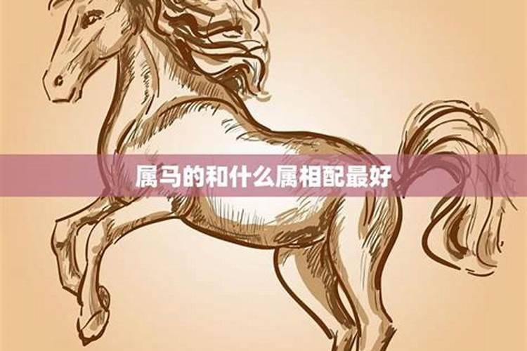 属马的婚配属相什么最好？