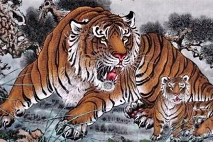 龙虎属相婚配怎么样？