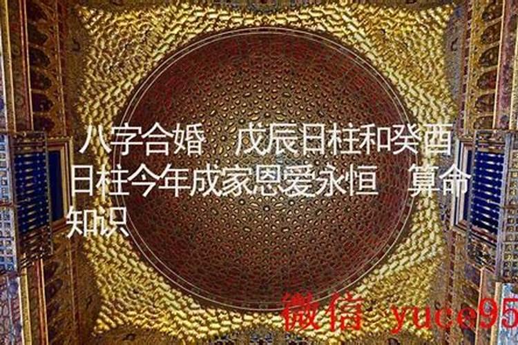 戊辰和辛未合婚吗？