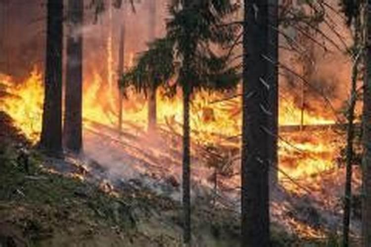 梦见失火是什么意思？