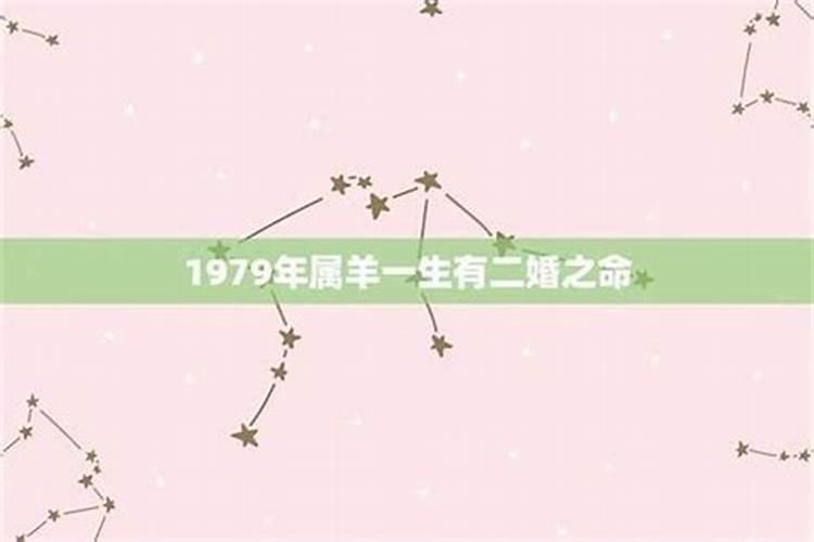 1979你出生羊女2026年运程