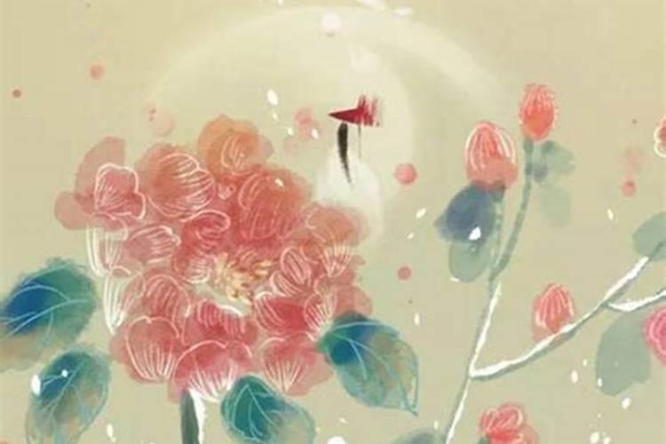 4月生肖桃花运势如何？