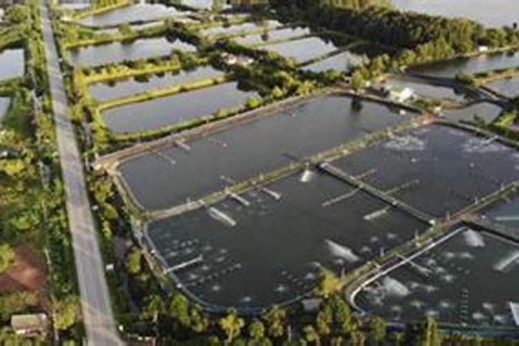 养殖场起个什么名字好？