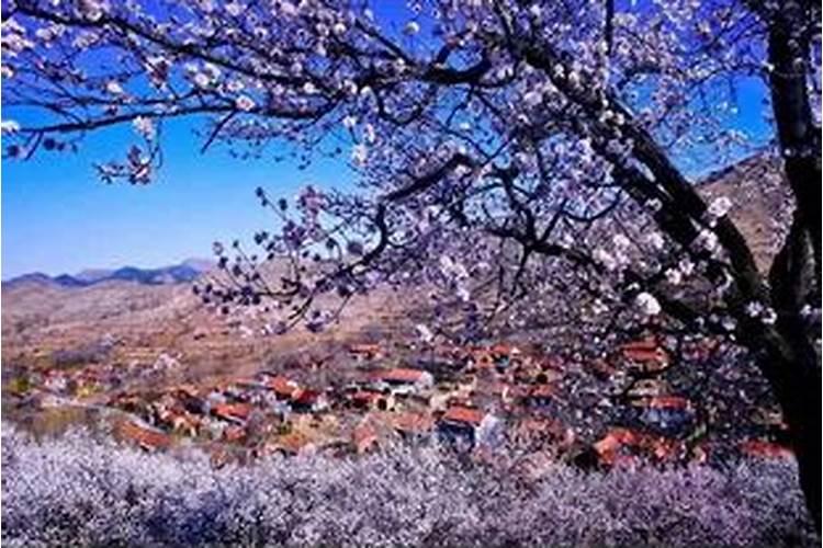 新昌立夏的风俗有哪些？