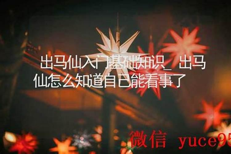 出马仙算命看八字吗？