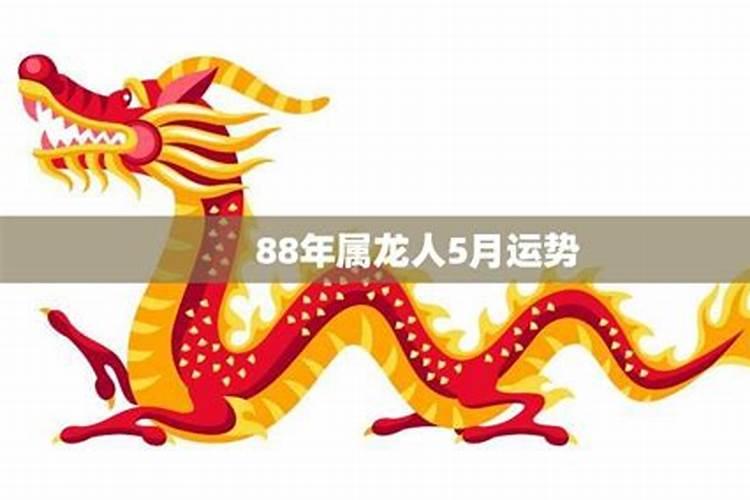 龙人5月运势如何？