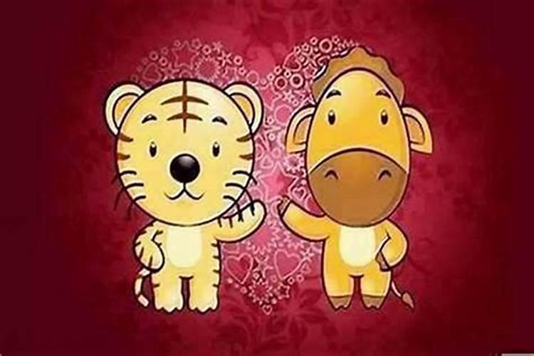 女属虎婚配哪个属相最好？