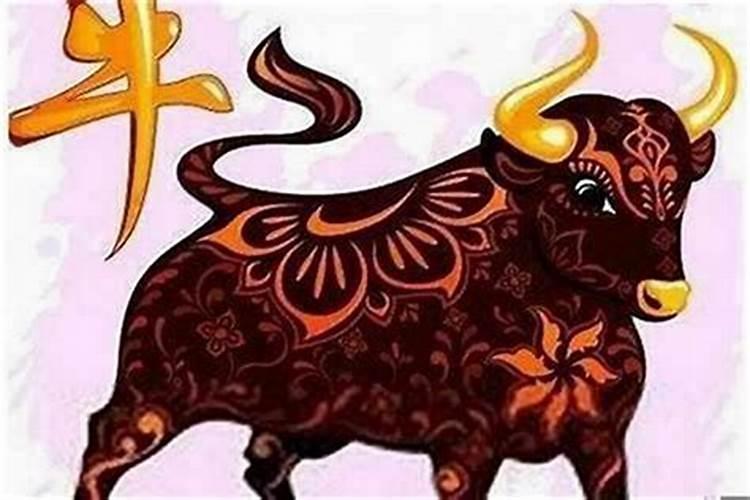 女属牛和男属狗八字合吗？