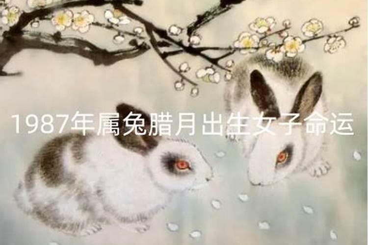 1987年腊月出生
