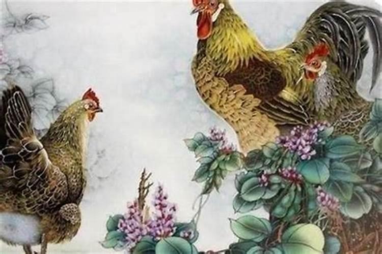 属鸡的人跟哪个属相合婚？