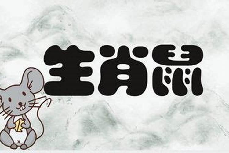 生肖属鼠猪年运势如何？