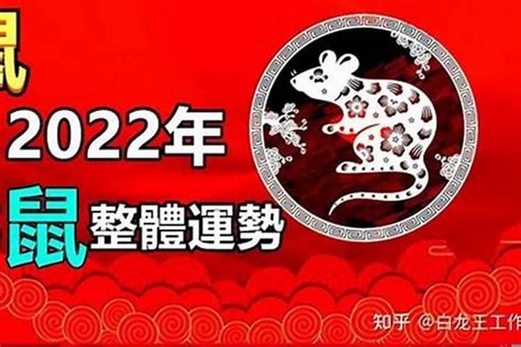 属鼠96年2026年运势运程