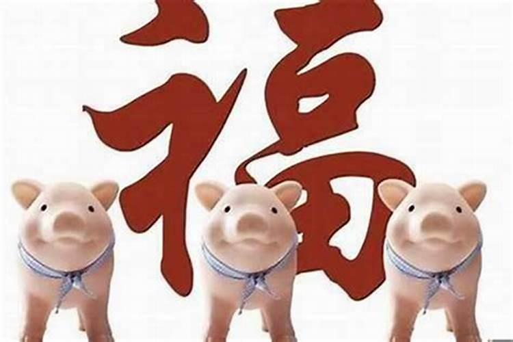 71年猪在今年的运势