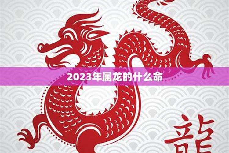 2026年的龙年的运势