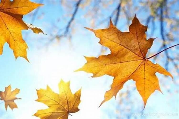 梦见前夫死了自己很难过