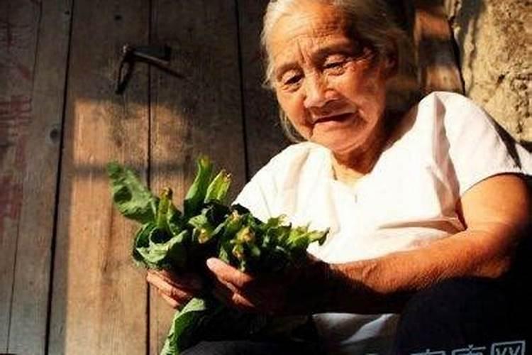 梦到已过世的奶奶房间漏水