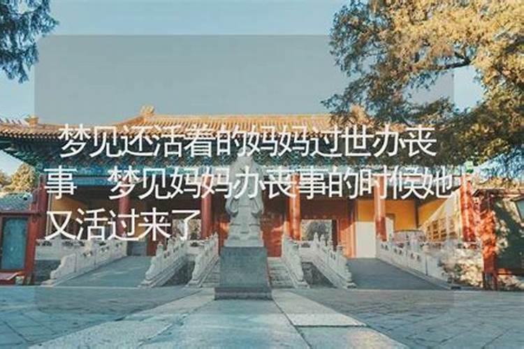 梦见妈妈还活着哥哥背着她