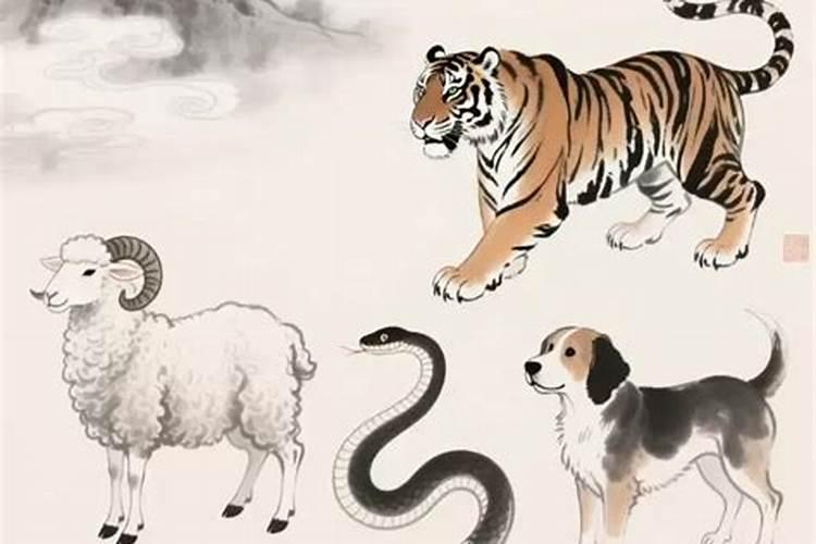 2026年个属相的运势如何？