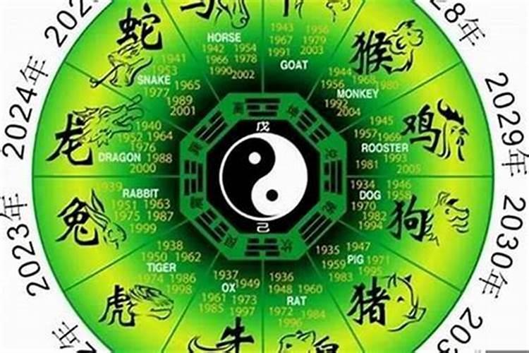 5月份鼠运势如何？