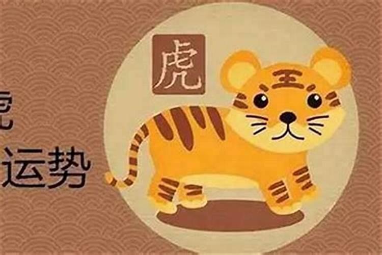 明年属虎本命年怎样？