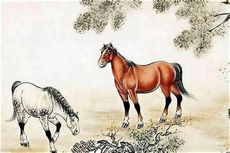 属马人与哪几个属相婚配好？