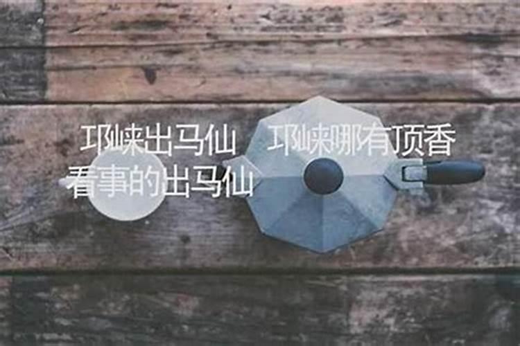 四会哪里有算命的高人？