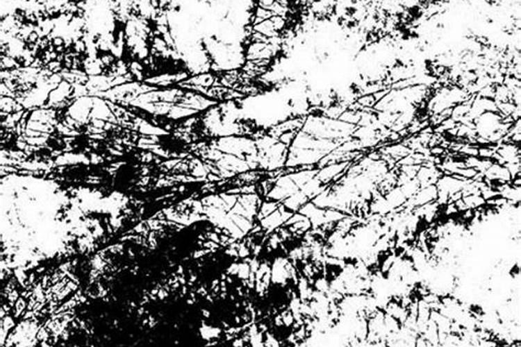 本命年不参加白事