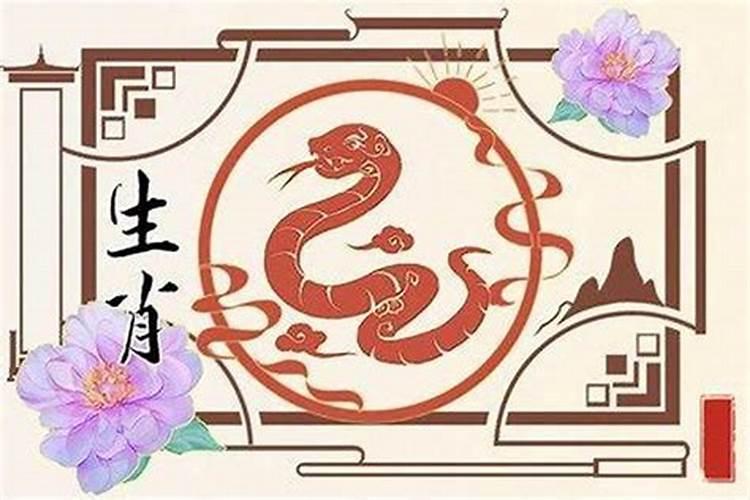属蛇今年的运势破解
