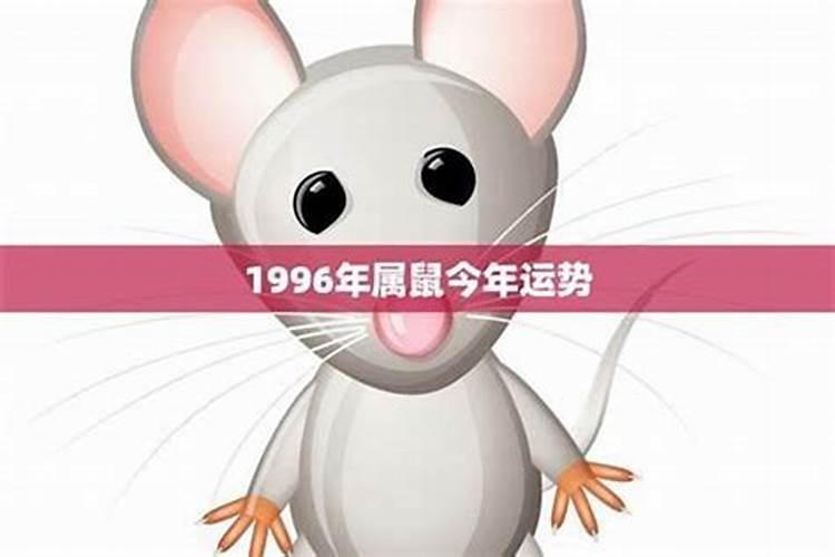 1996年的人运势如何？