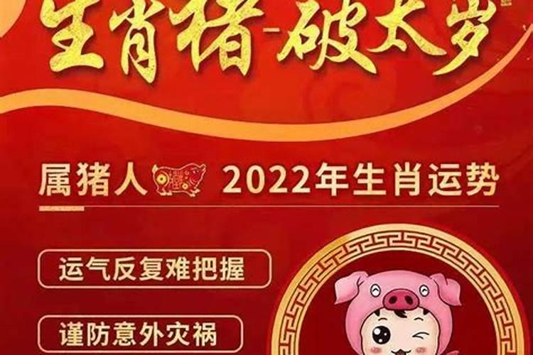 2026的猪年与什么冲太岁？
