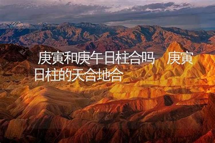 庚午日主在2026年的运程