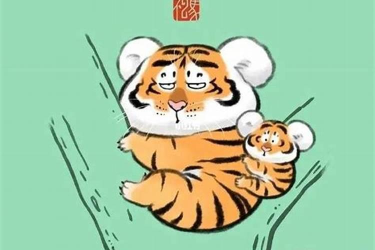 立冬前出生的虎好吗？