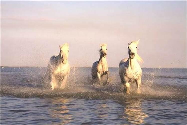 梦见前男友和他现女友秀恩爱