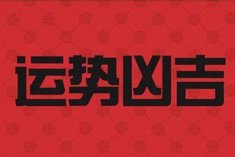 属蛇2026年运势很不好