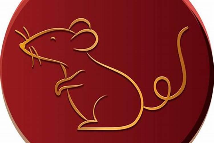 猫和鼠的八字合吗？