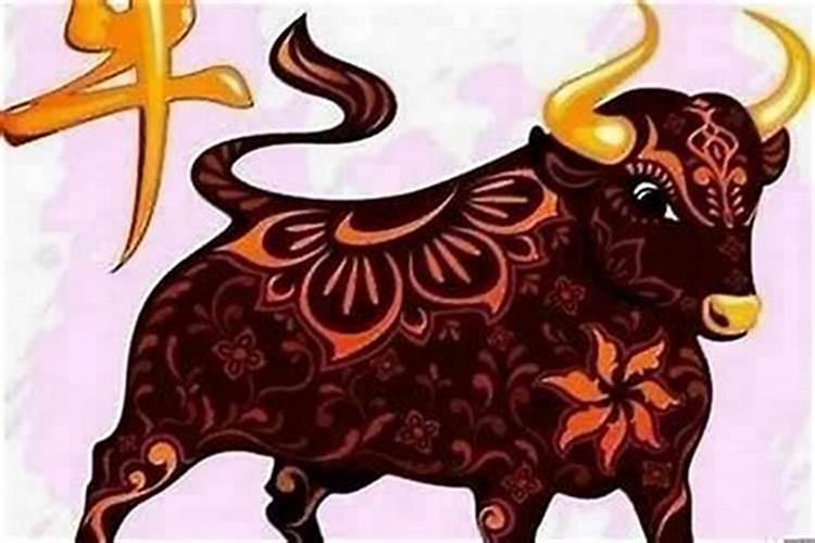 今年本命年能换大门吗？