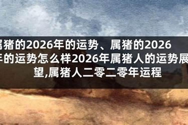 2026属猪运势怎么样？