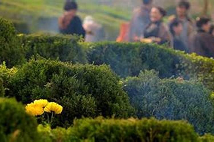 梦见上坟烧纸什么预兆呢？