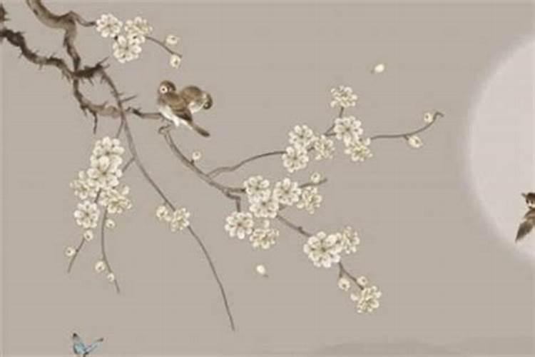 三月十五出生好么？