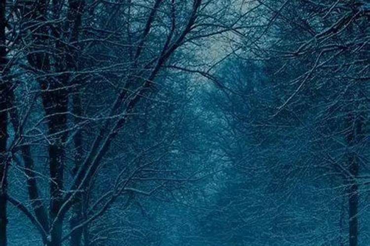 八字同性姻缘分析