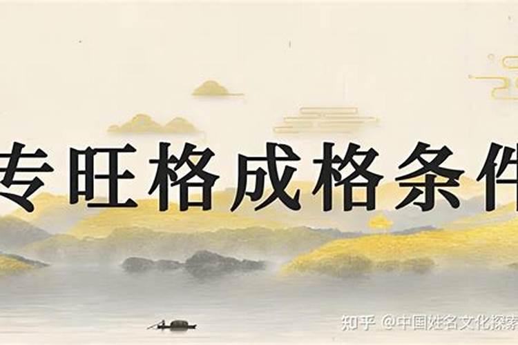 八字旺格是什么意思？