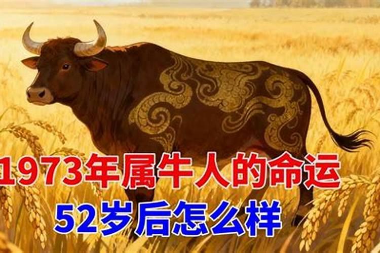 1973牟出生属牛50岁后运程