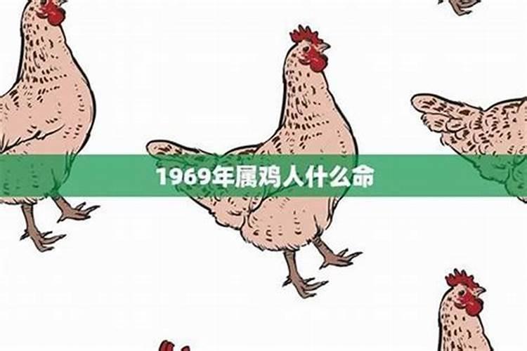 1969属鸡下半年运势
