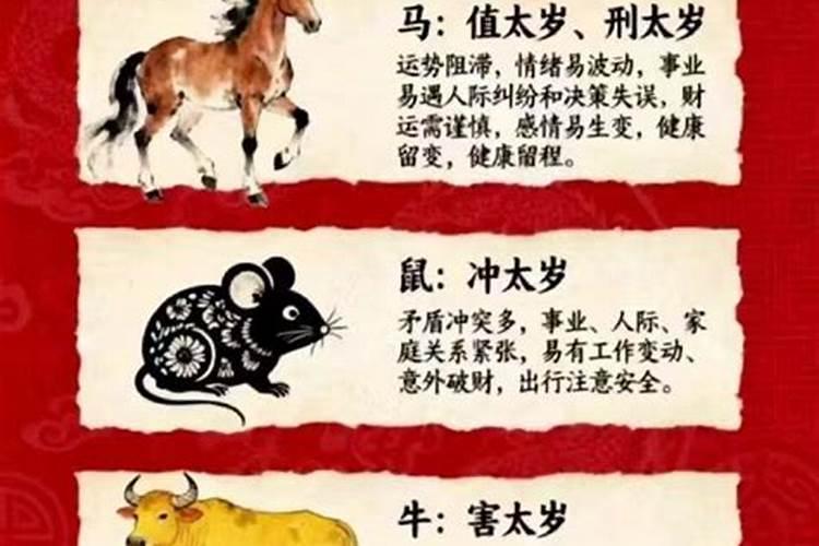 马犯太岁生肖是什么？